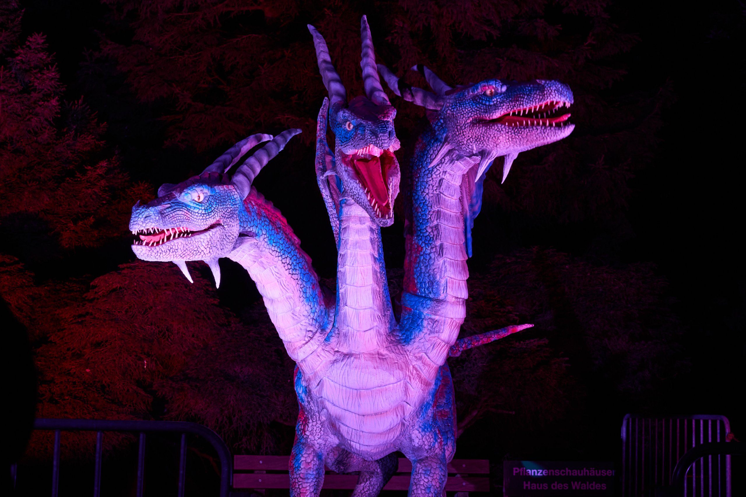 2025 02 04 Parkleuchten 0150